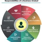 business analyst